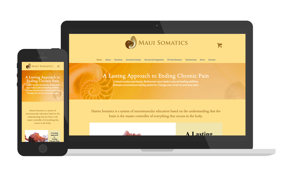 Maui-Somatics-Display